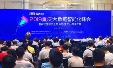 大數(shù)據(jù)賦能，軟件定義未來 重慶軟件開發(fā)企業(yè)在智能化浪潮下的機遇與路徑
